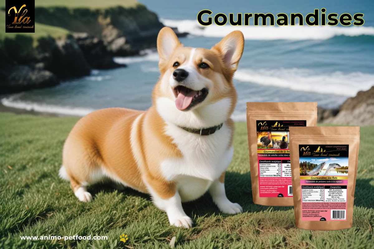 Gourmandises pour chien à la volaille ou au poisson : délicieuses friandises pour votre compagnon